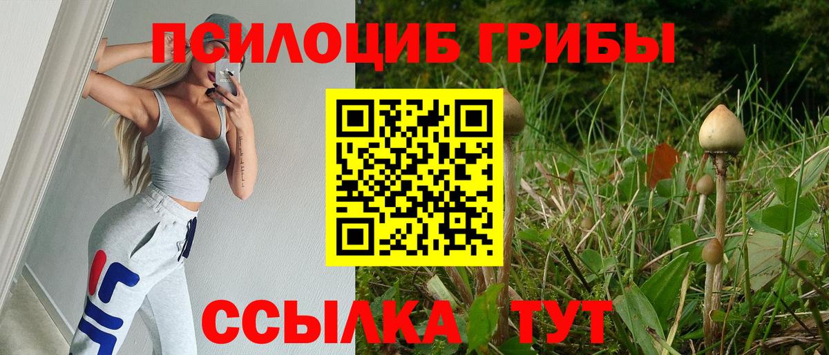 Псилоцибиновые грибы Psilocybine cubensis  Псилоцибиновые грибы MAGIC MUSHROOMS  Кушва  Вход с VPN 