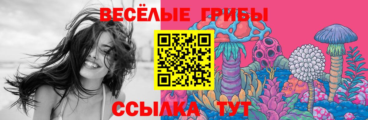 Галлюциногенные грибы мицелий Кушва